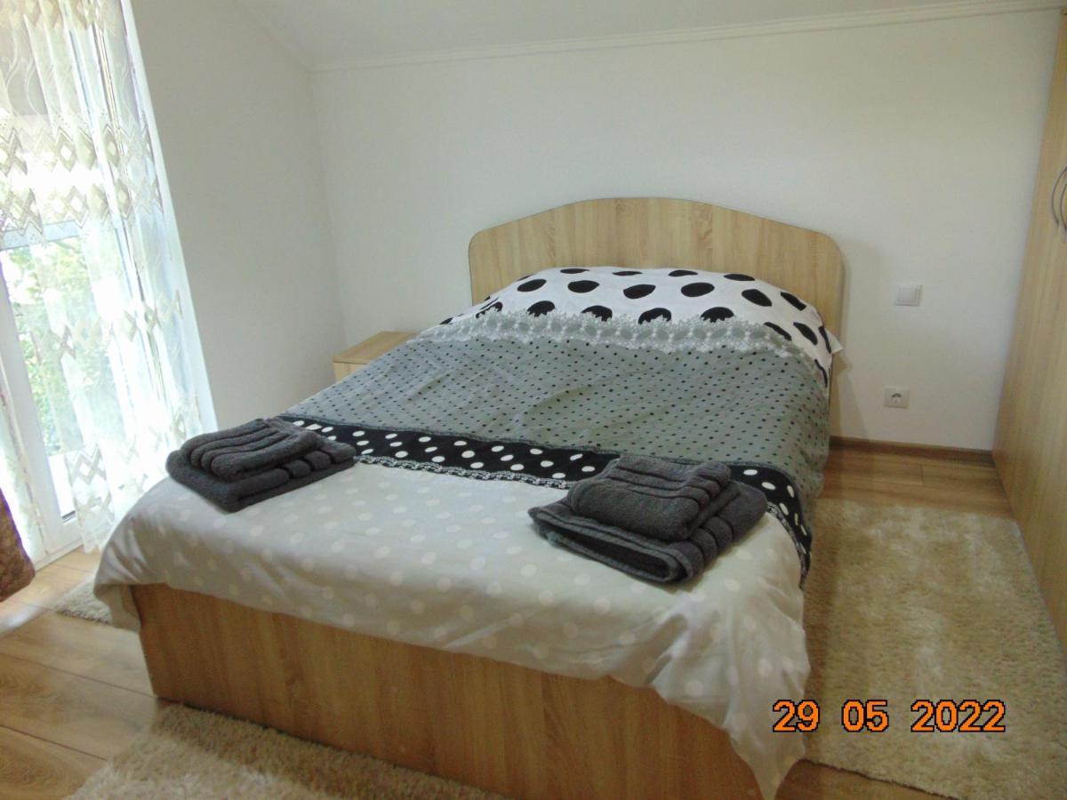 Vila Floarea de Colt Apartment Borşa Exterior foto