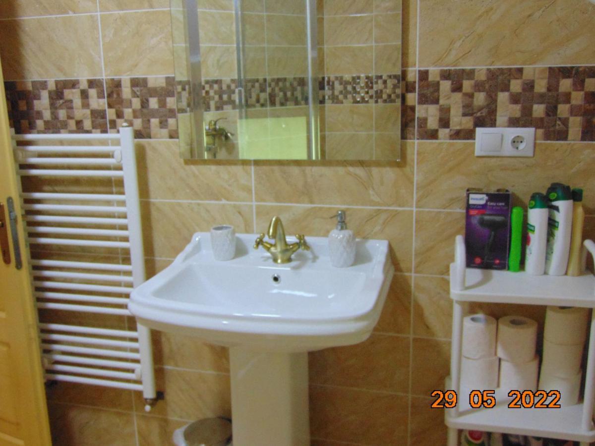 Vila Floarea de Colt Apartment Borşa Exterior foto